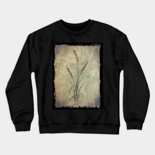 Watercolor Cattails on Parchment Pattern Crewneck Sweatshirt